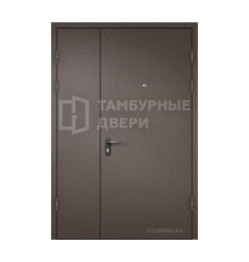 Дверь тамбурная глухая утепленная порошок — скелет ТД-253